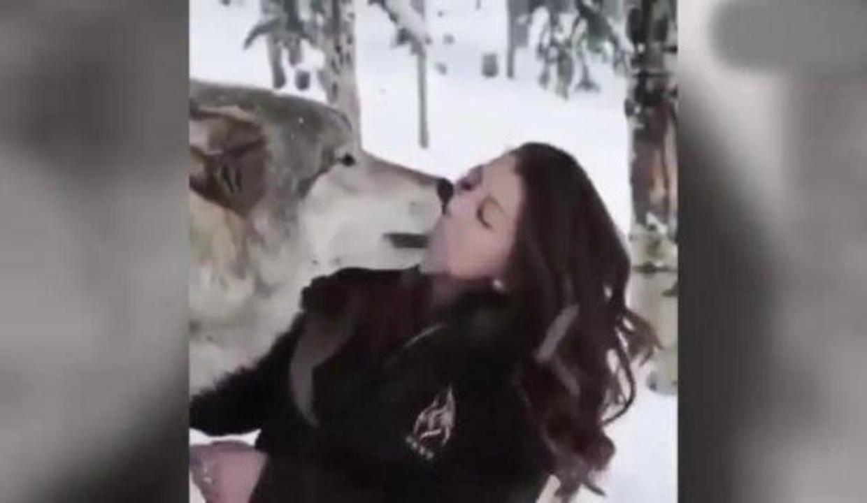 Vahsi Kurt Ile Kadinin Inanilmaz Dostlugu Video 7