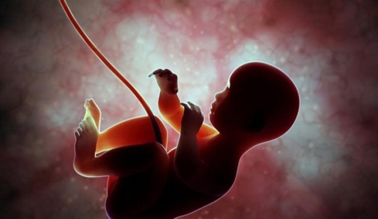 bebegin kan grubunu anne karninda ogrenin kadin haberleri