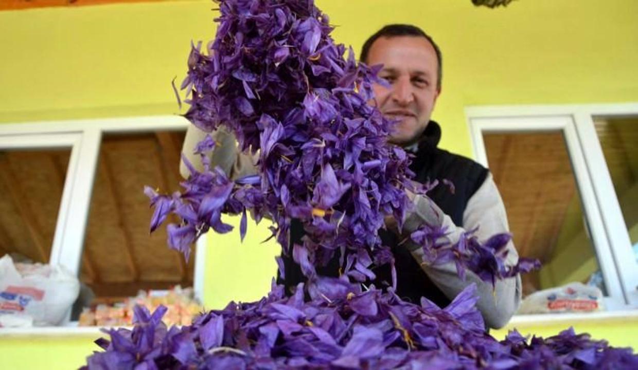 İnanılır gibi değil! Kilosu 15 bin dolar