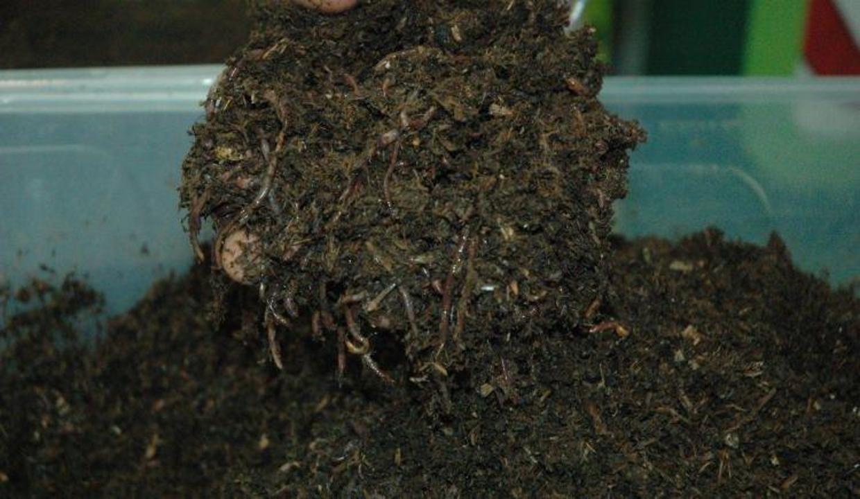 5 kilo gübresini aldı, şimdi 3 milyon...