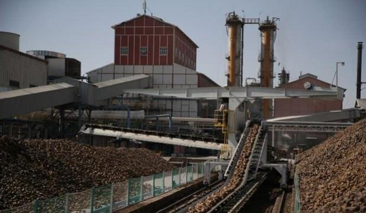 Danıştay'dan Şeker Fabrikaları kararı