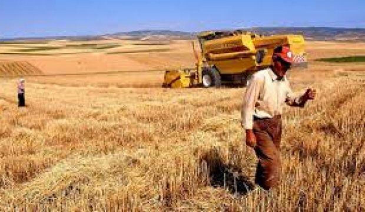 Tarımda sigortalı varlık değeri yüzde 28 arttı