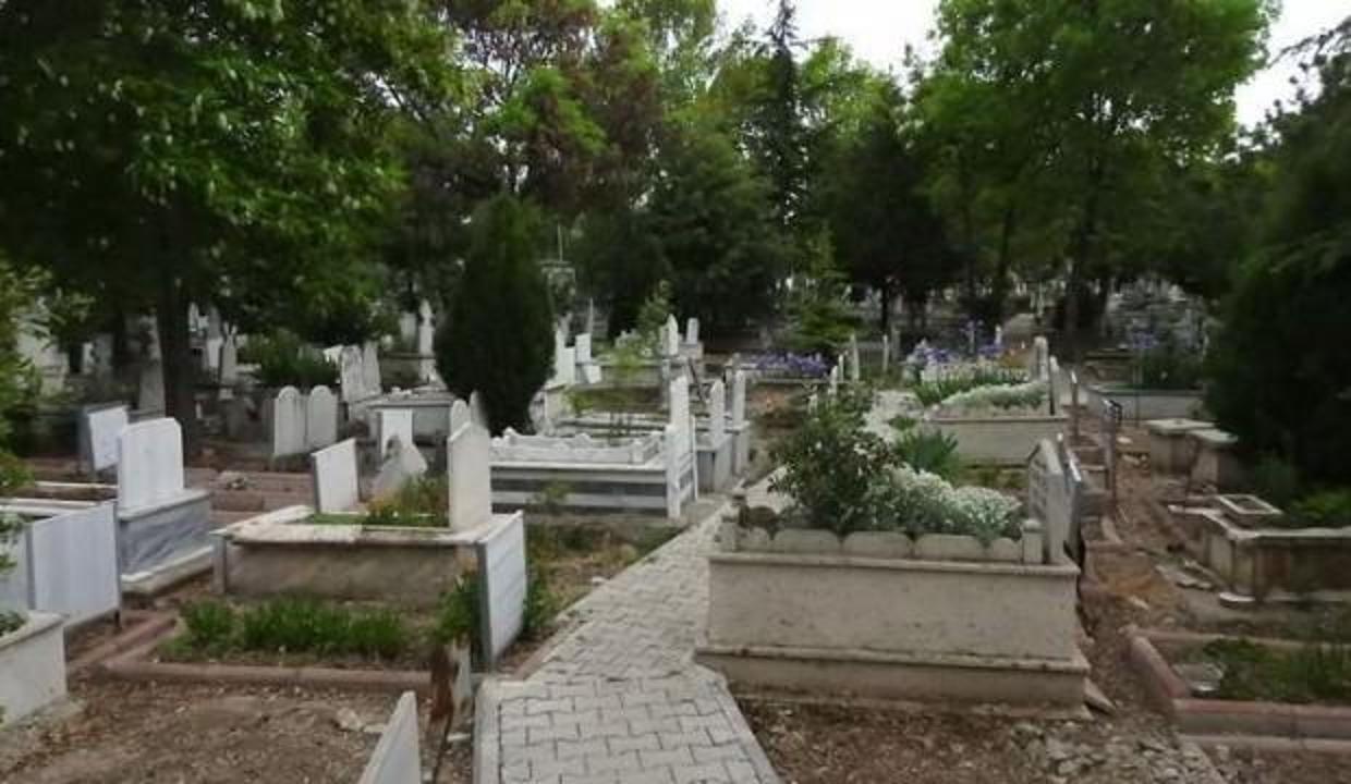 Sosyal medyayı sallayan mezarlık sorusu!