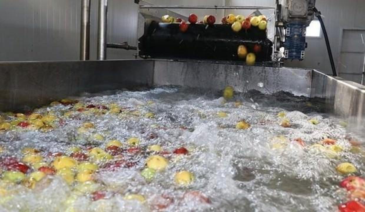 Erzincan'dan 3 kıtaya meyve suyu ihracatı