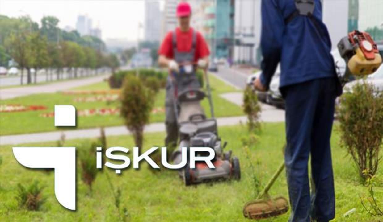 İŞKUR TYP ile farklı kadrolara personel alımı! Başvuru şartları neler?