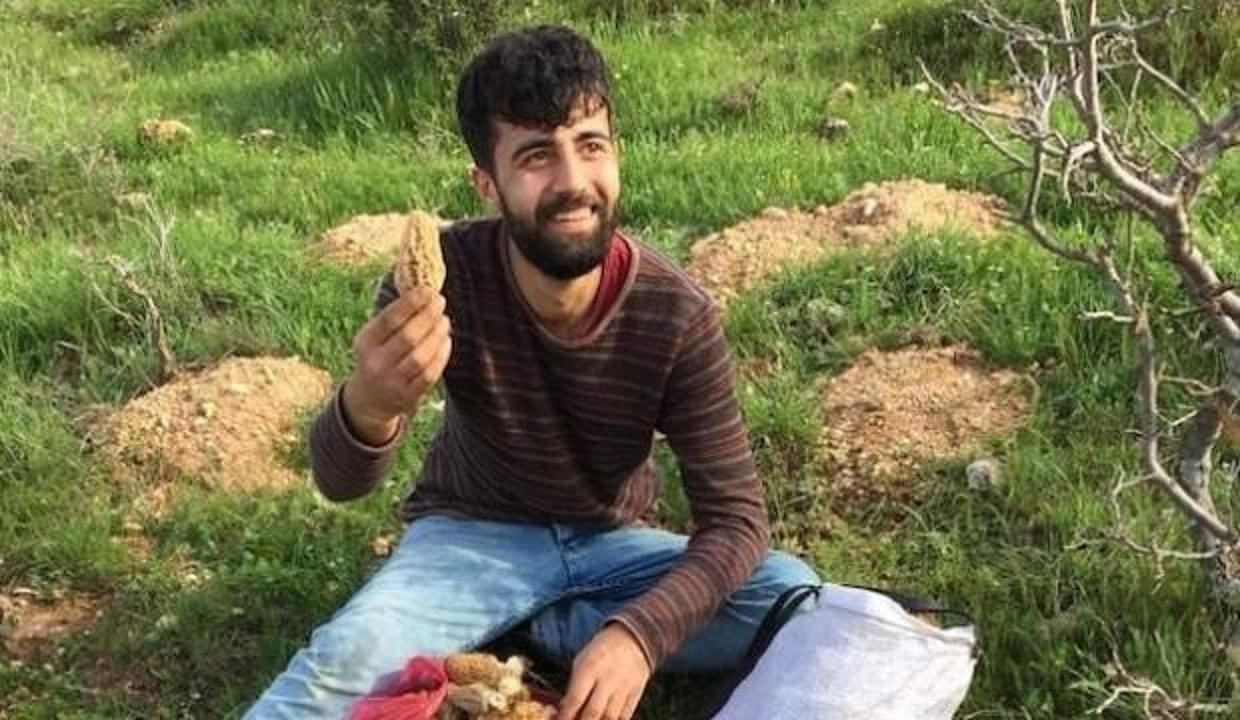 Yağmur yağınca ortaya çıktı: Kilosu 200 lira