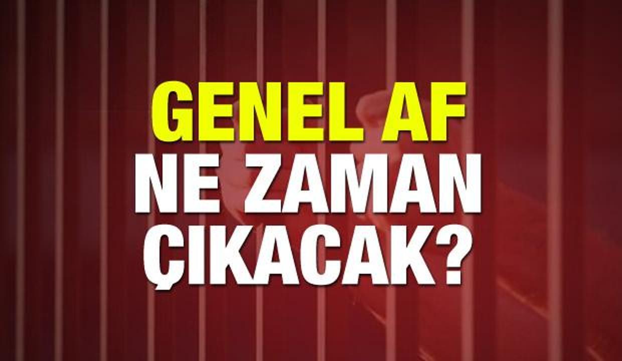 2019 Genel Af ne zaman çıkıyor? Ceza ve borç afları için açıklama geldi