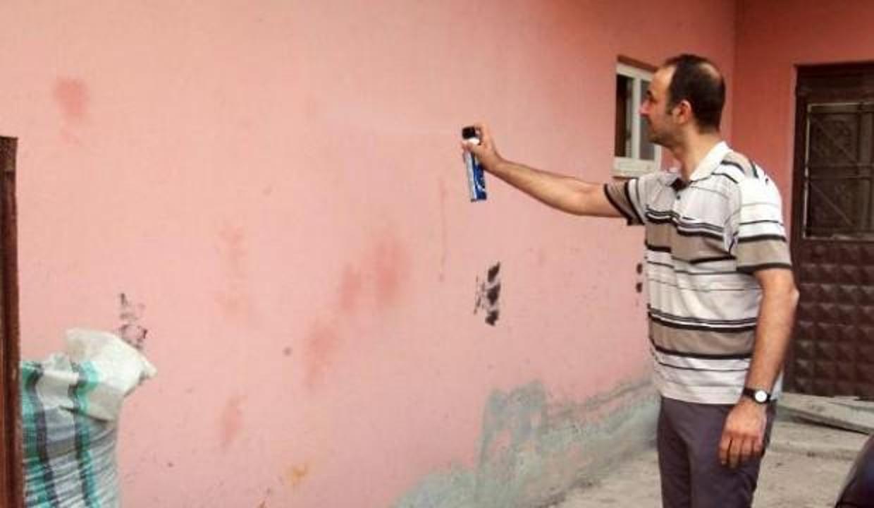 Milyonlarca böcek istila etti: Mahalleli önlem alamıyor