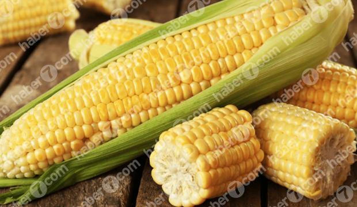 misirin faydalari neler saglik haberleri