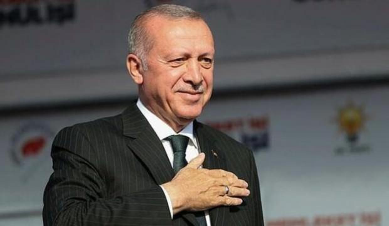 Cumhurbaşkanı Erdoğan'dan Van kedili "tbt" paylaşımı