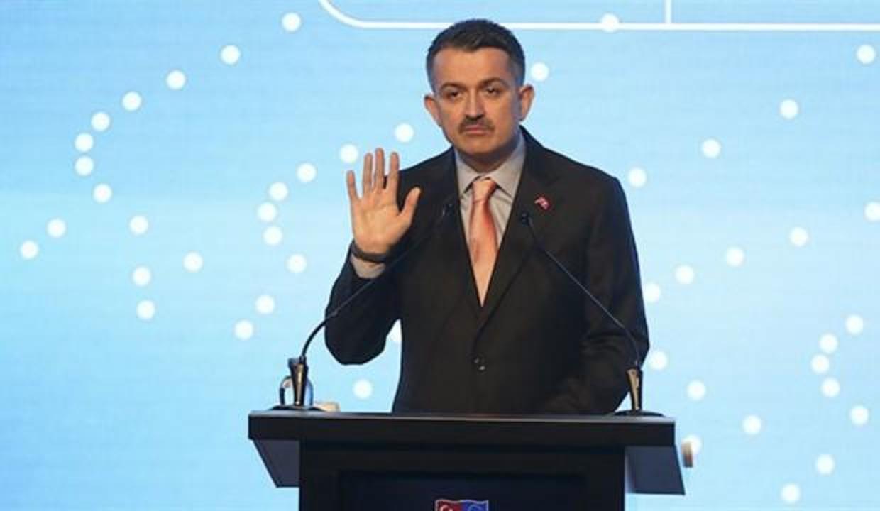 Pakdemirli: OGM'de 19,8 milyon hektarlık orman tapusu var