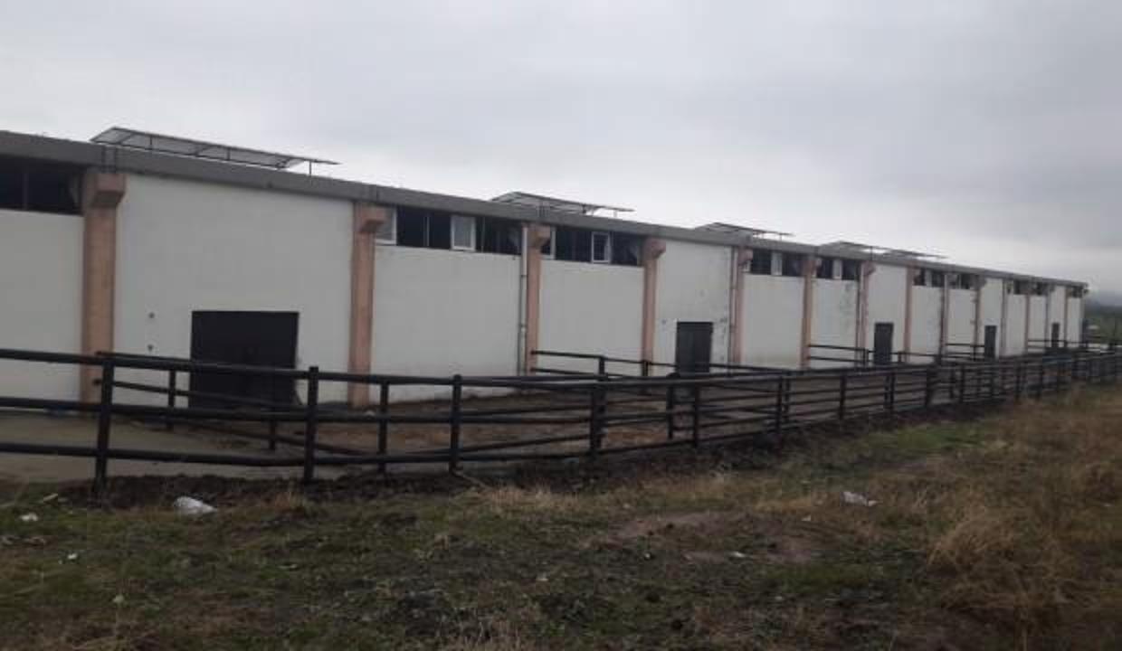 Akılalmaz vurgun! ikinci Çiftlik Bank vakası