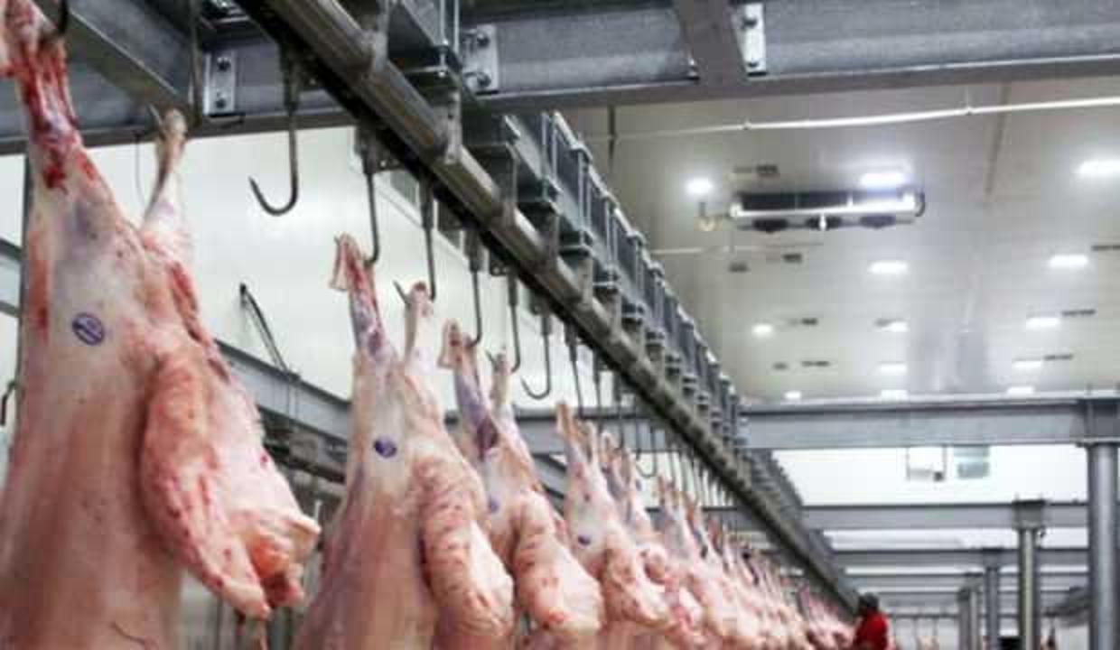 Şarbon hastalığı tespit edildi! Mezbaha ve havyan pazarı kapatıldı