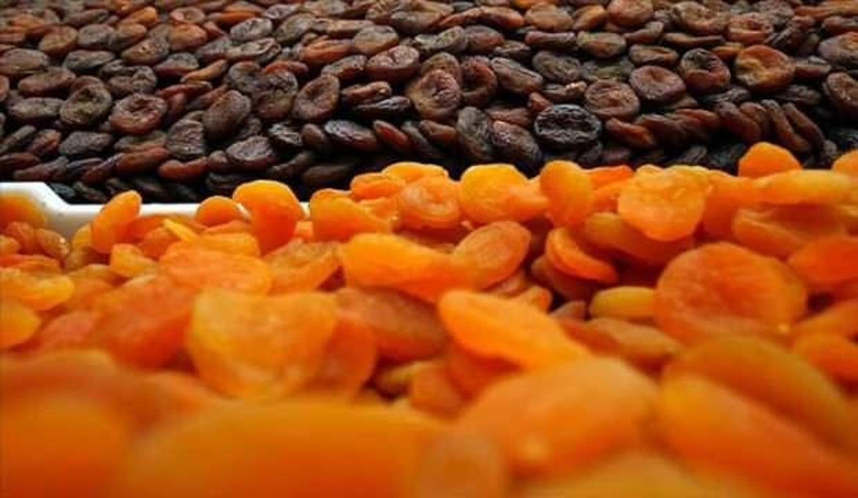 Kuru kayısı 8 ayda 197 milyon dolar getirdi