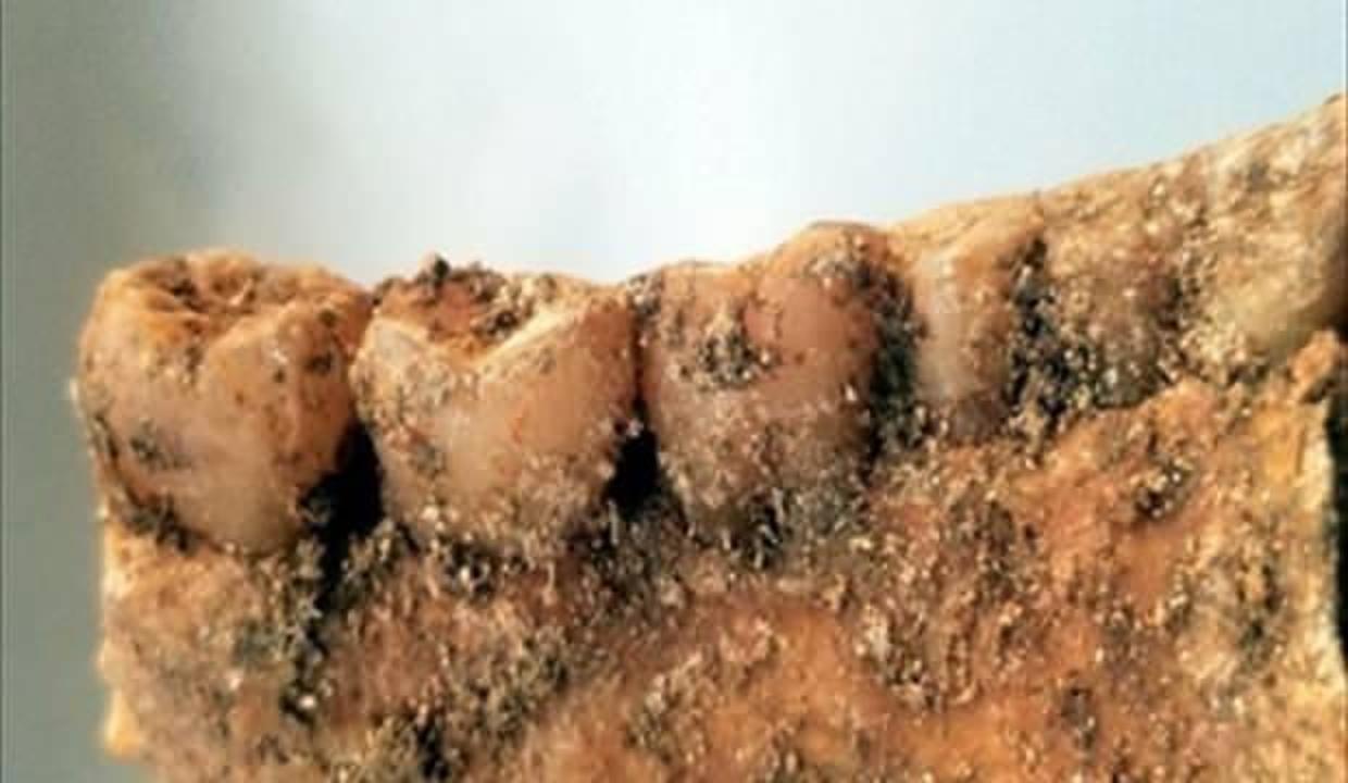 Ölen bir kişiyi defnederken bulundu! Tam 2300 yıllık