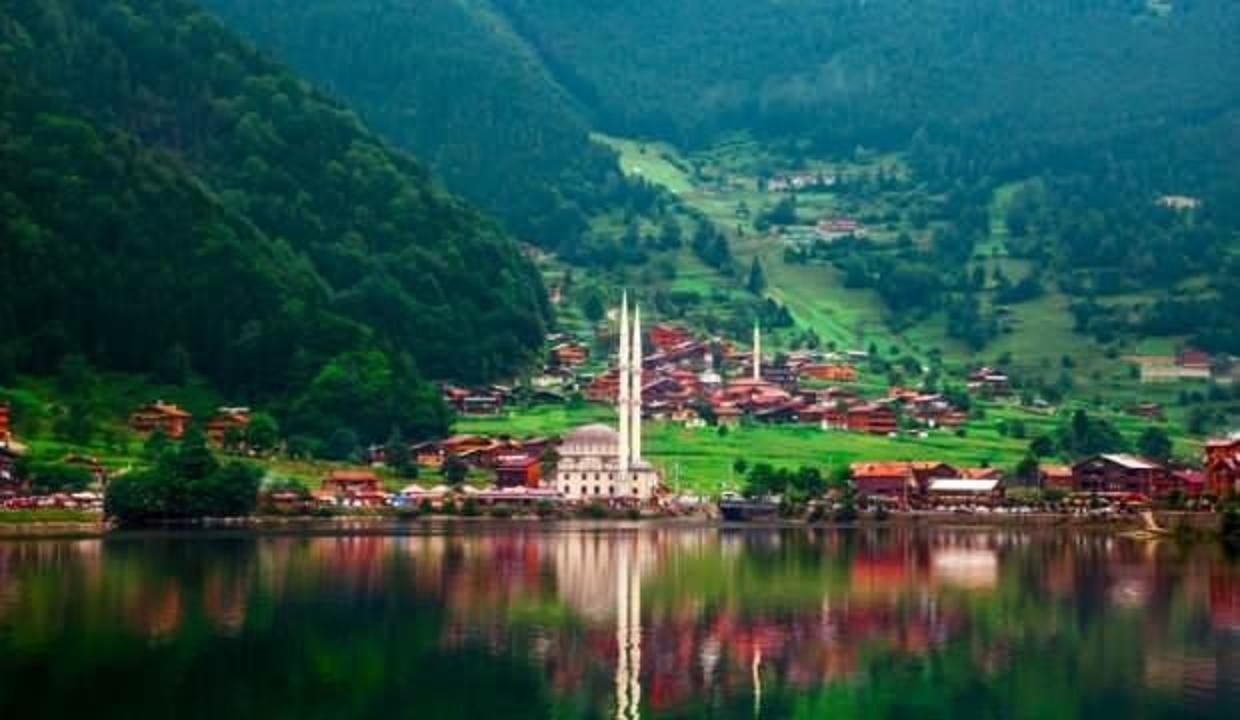 Turizm merkezi Uzungöl yaban hayvanlarına kaldı