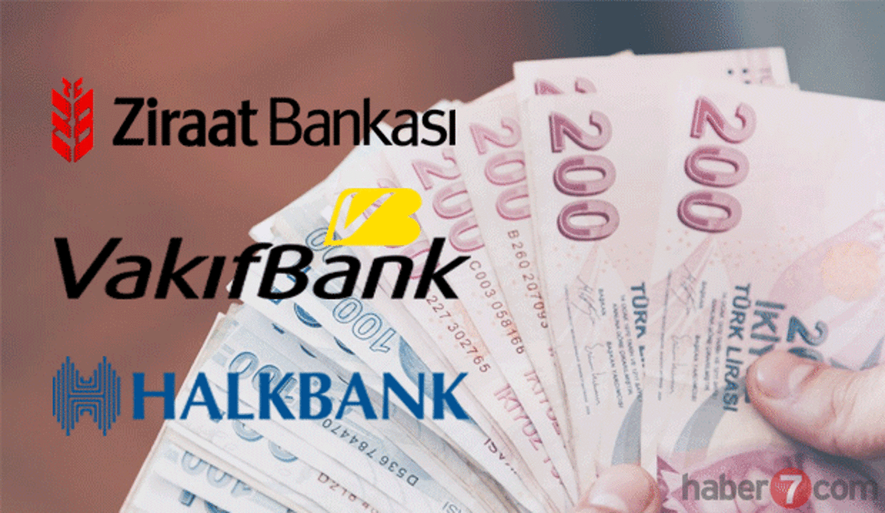 Temel Destek İhtiyaç kredisi: VakıfBank Ziraat Bankası HalkBank başvuru sonucu sorgulama!