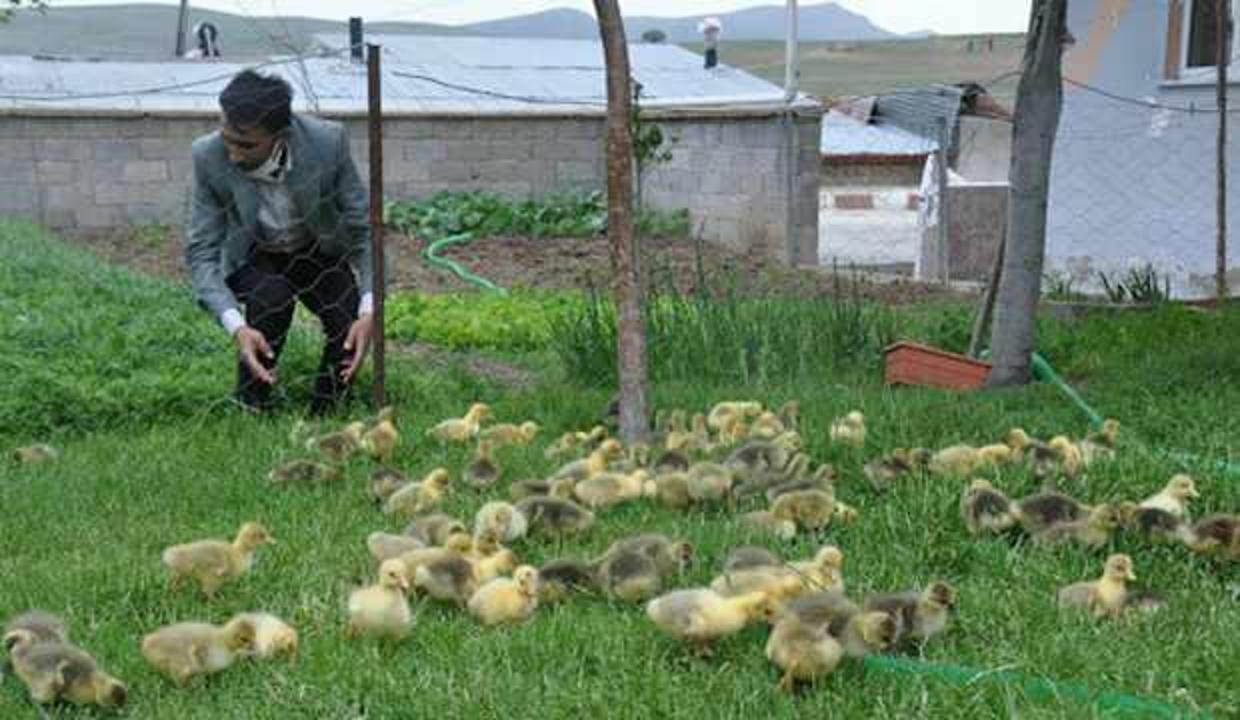 Fransa'dan getirip üretime başladı! Siparişlere yetişemiyor
