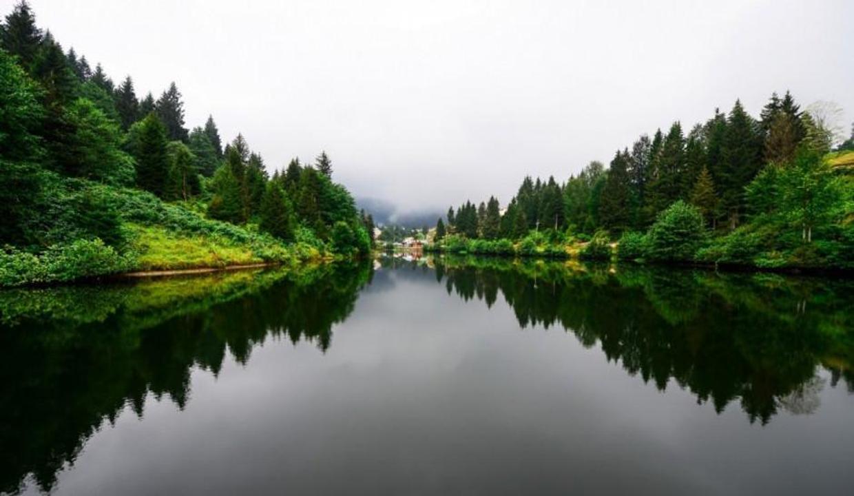 Doğu Karadeniz'de yeşilin her tonu Balıkgöl'de