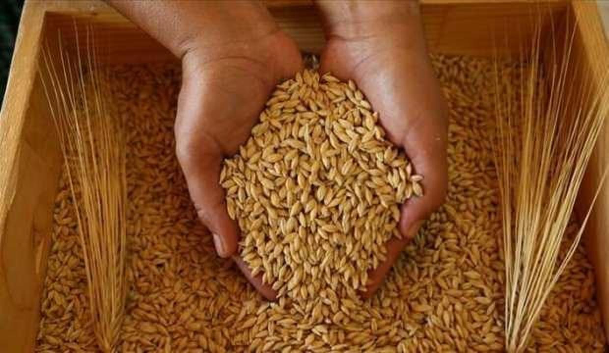 Tarım Kredi'den rekor arpa alımı