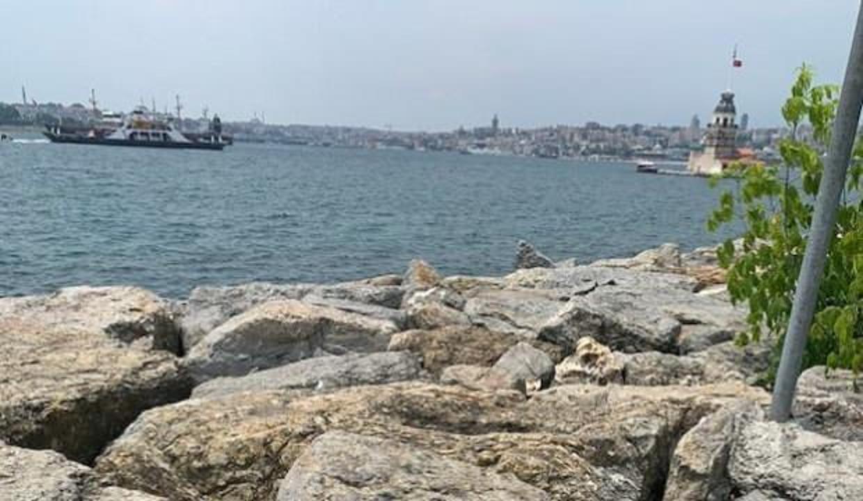 Belediye Başkanı isyan etti: Sizce bu normal mi arkadaşlar?