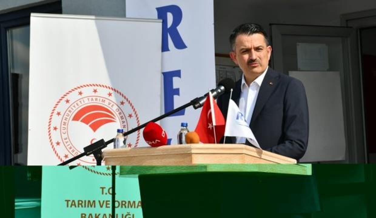 Bakan Pakdemirli: İzmir Çeşme yangını kontrol altına alındı