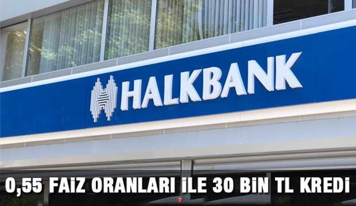 Halkbank 30 bin TL 6 ay ödemesiz ihtiyaç kredisi veriyor! Kredi başvuru ekranı