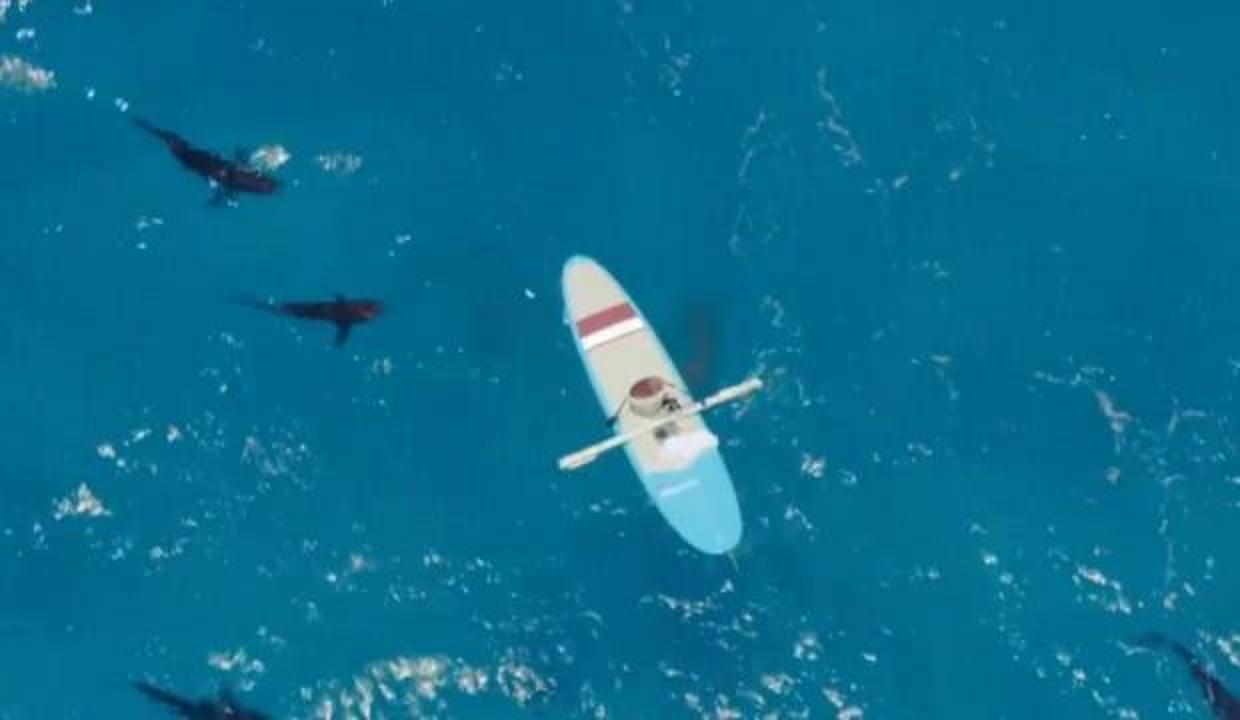 Bermuda Adaları’nda yaşayan Youtuber'dan tehlikeli deney