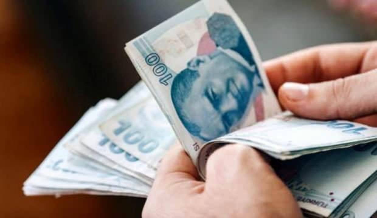 Pandemi sosyal yardım desteği ödemesi başladı! e-Devlet başvuru ve sonuç sorgulama sayfası!