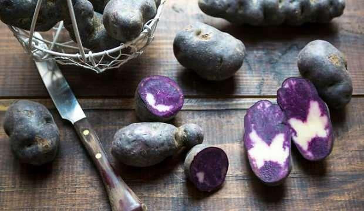 Mor patatesin sağlığa faydaları nelerdir? Mor Patates nasıl tüketilir? Besin değeri...