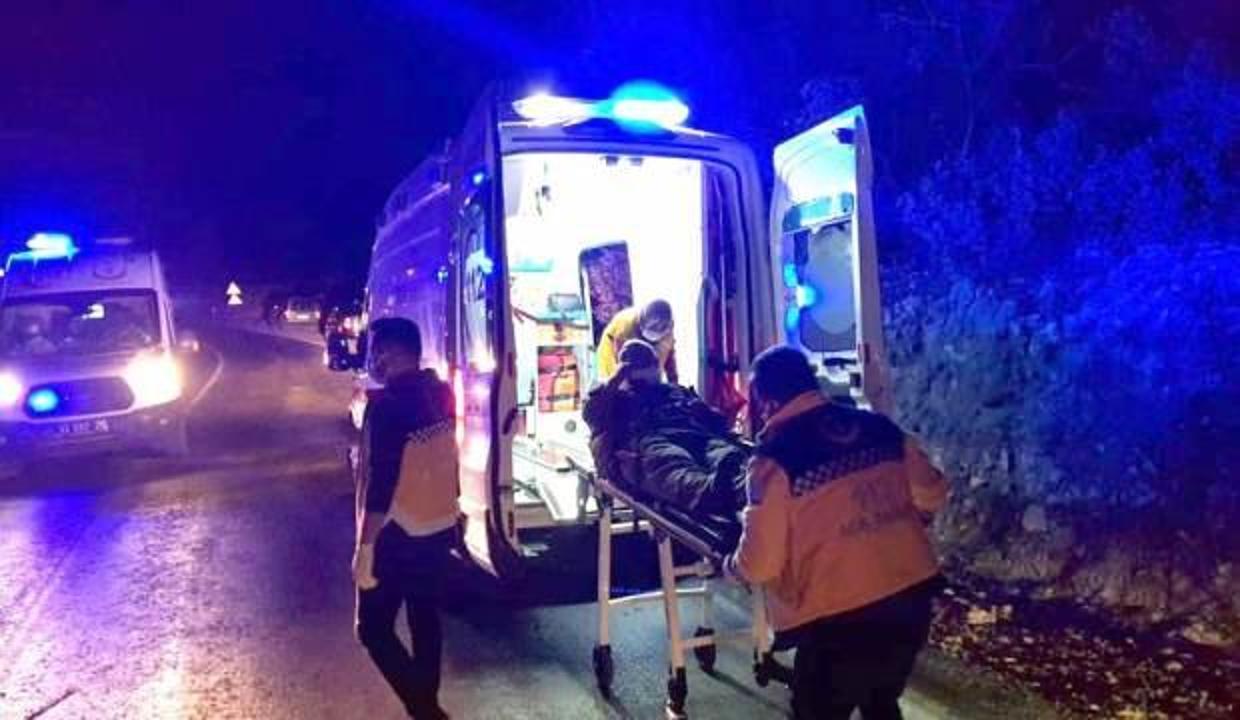 Hayvan yüklü kamyon devrildi: 2 kişi yaralandı, 8 hayvan telef oldu