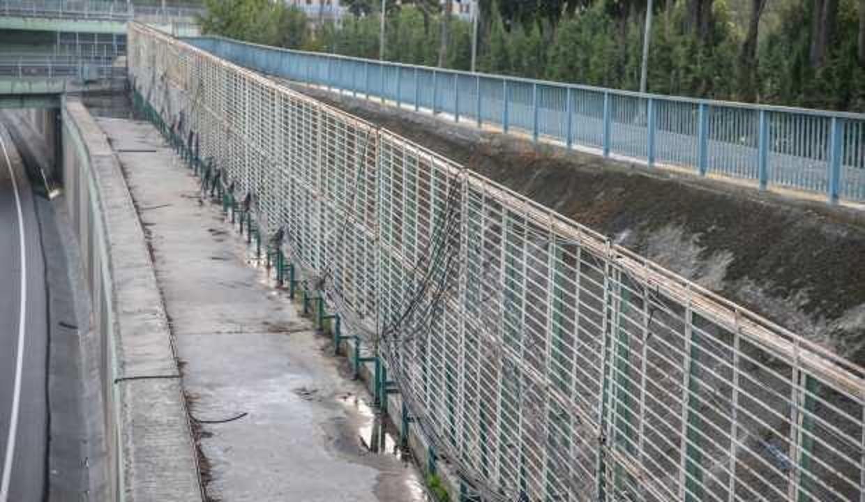 İBB'nin söktüğü dikey bahçelere sürpriz talip: Atmayın bize verin
