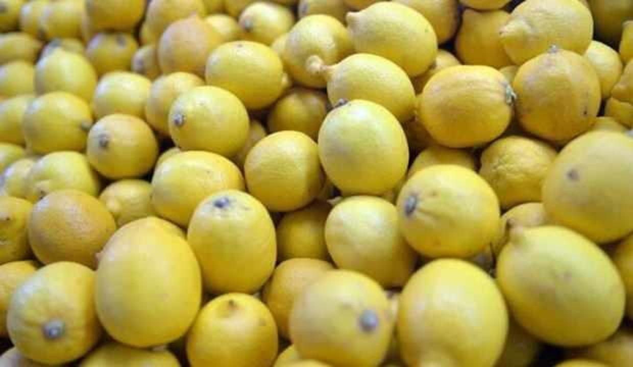 Limon ihracatı eylül ayında zirve yaptı