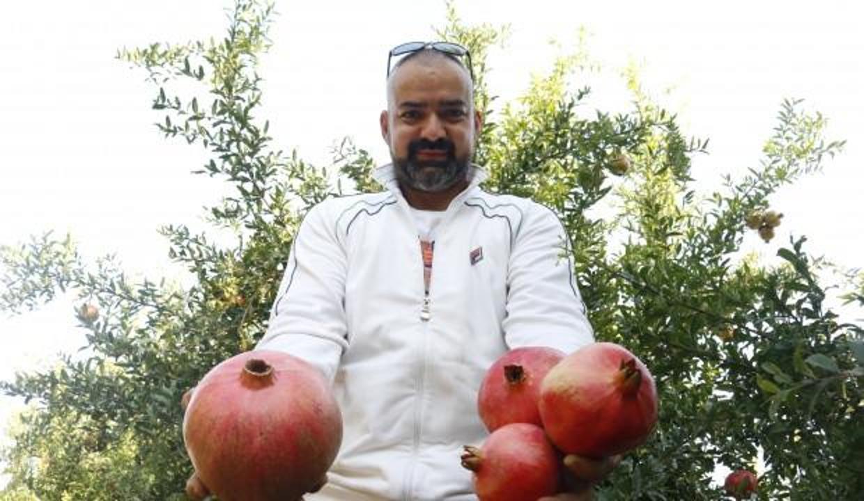 1 kilo 649 gramlık nar görenleri şaşırtıyor