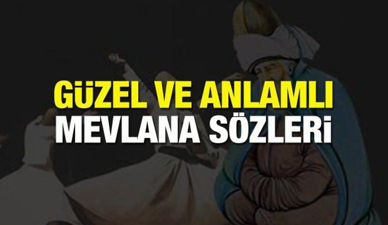 Hz Mevlana Sozleri Mevlana Celaleddin Rumi Nin Resimli Sevgi Ve Insanlik Icin Ozlu Sozler Yasam Haberleri