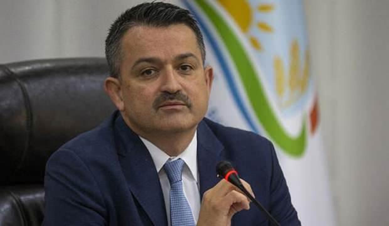 OGM'nin hava gücü filosuna takviye