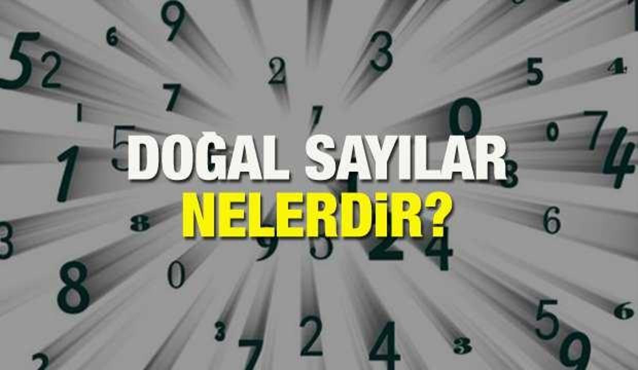 Dogal Sayilar Nelerdir Dogal Sayilar Nasil Bulunur Hangi Sayilar Dogal Sayidir Egitim Haberleri