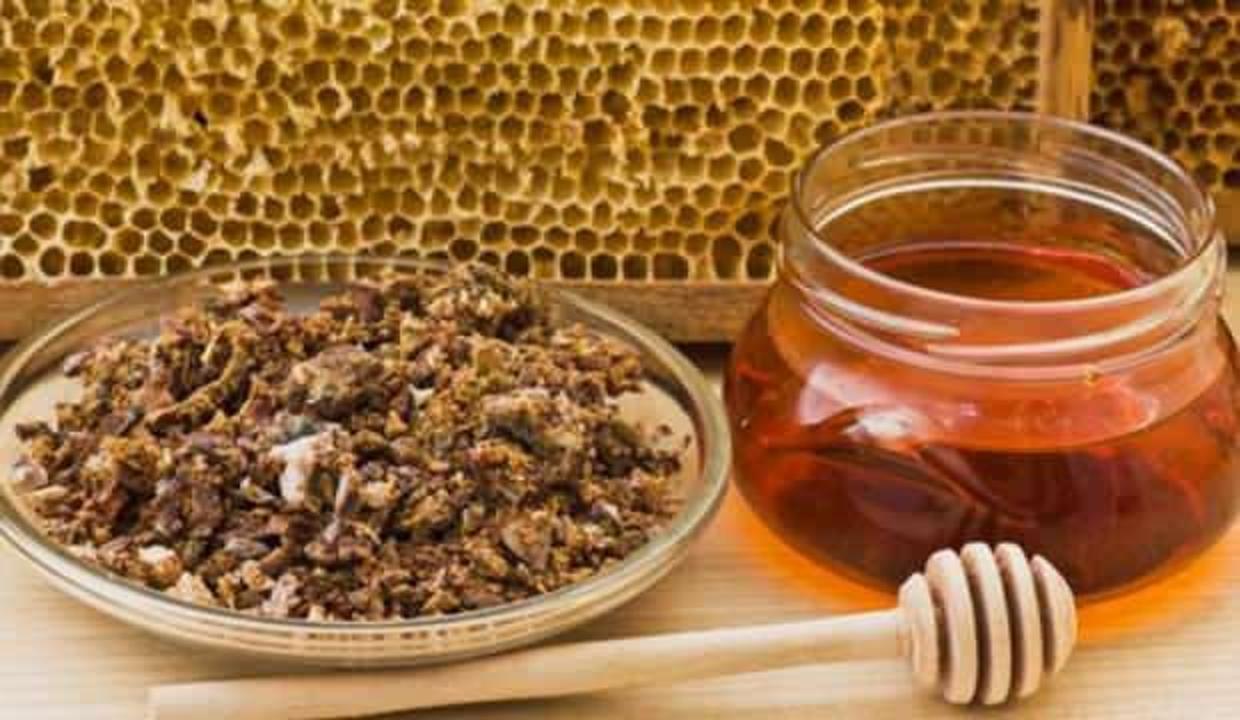 Kuru öksürüğe birebir karışım! Bal ve propolisi birlikte tüketin