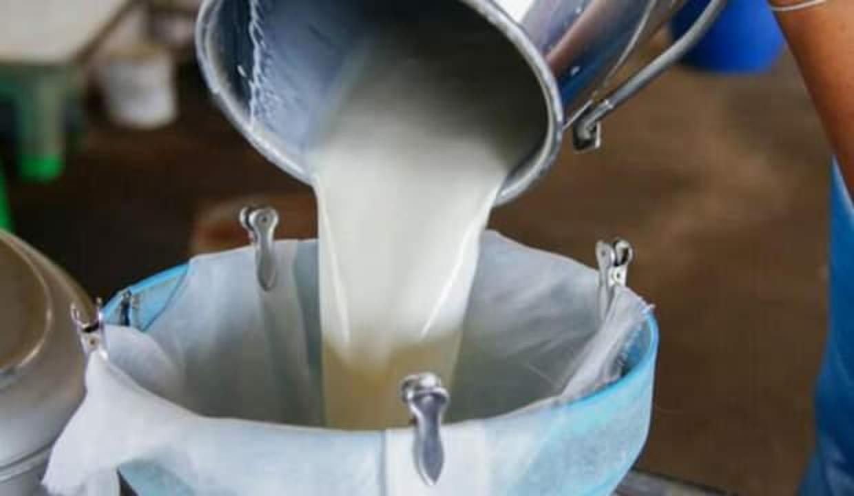 Soğutulmuş çiğ süt tavsiye fiyatı belli oldu