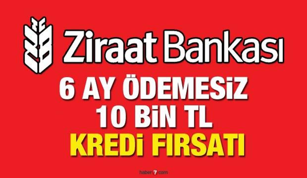 Ziraat Bankası 6 ay ödemesiz 36 ay vade ile kredi! Banka kredi başvuru ekranı