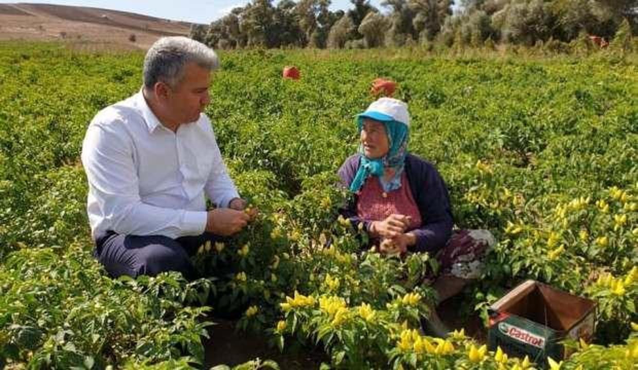 Balıkesir Milletvekili Canbey'den çiftçilere müjde