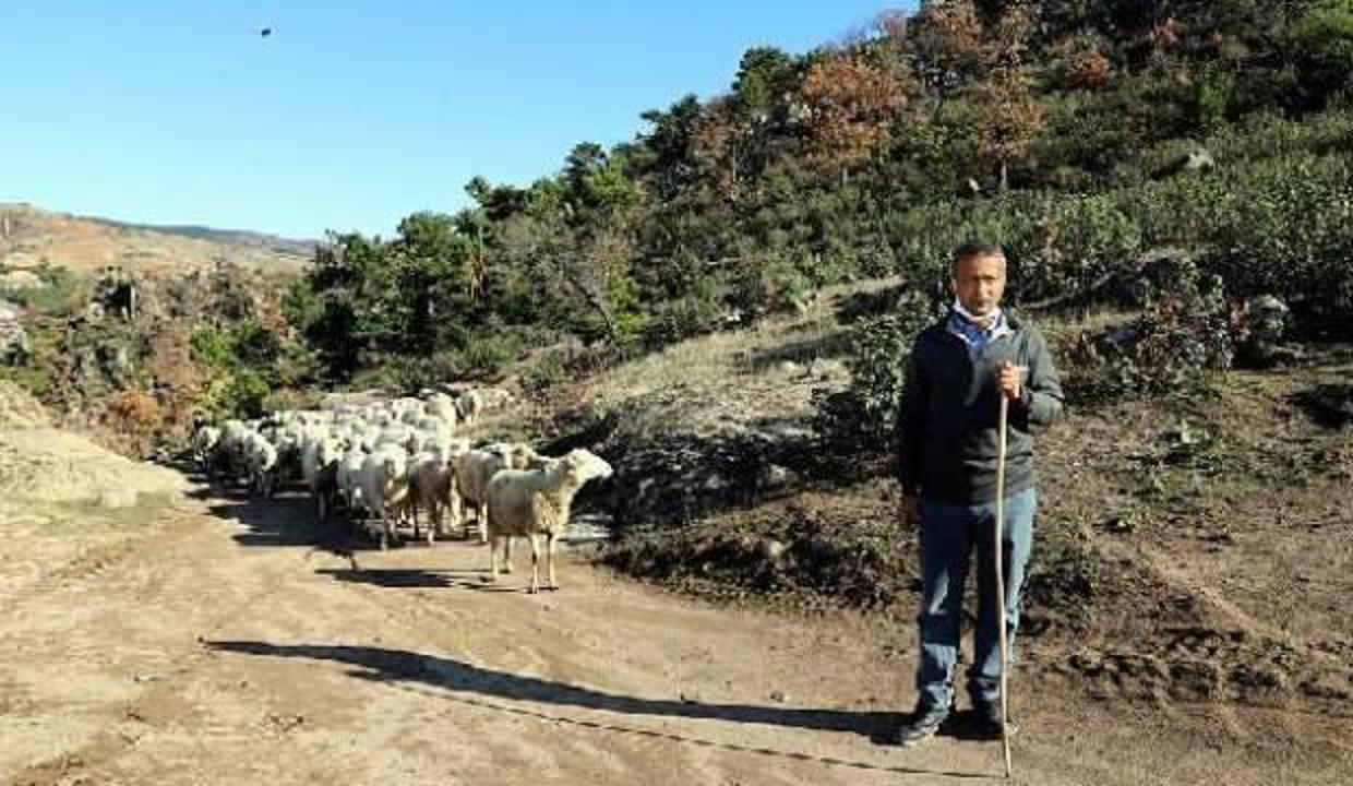 Koyunları telef olan aileyi Bakan Pakdemirli sevindirdi