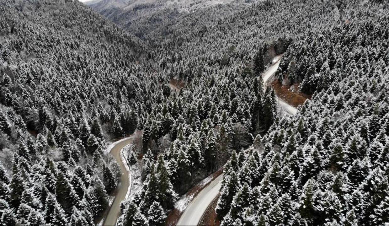 Yedigöller Milli Parkı ulaşıma kapatıldı