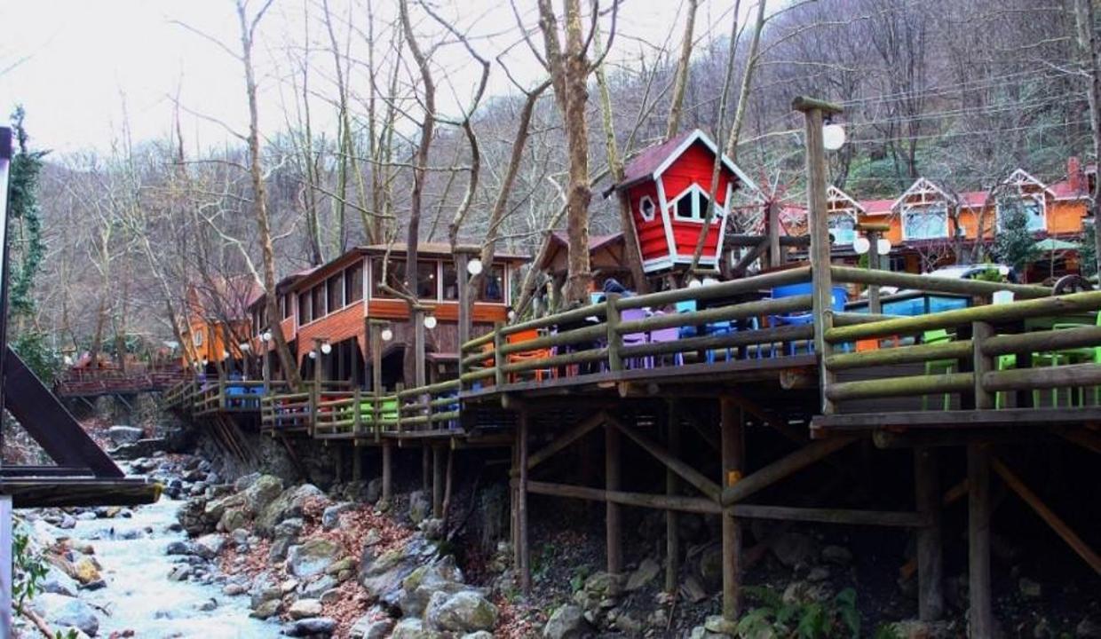 Avrupa'nın en büyük doğal yaşam parkı: Ormanya