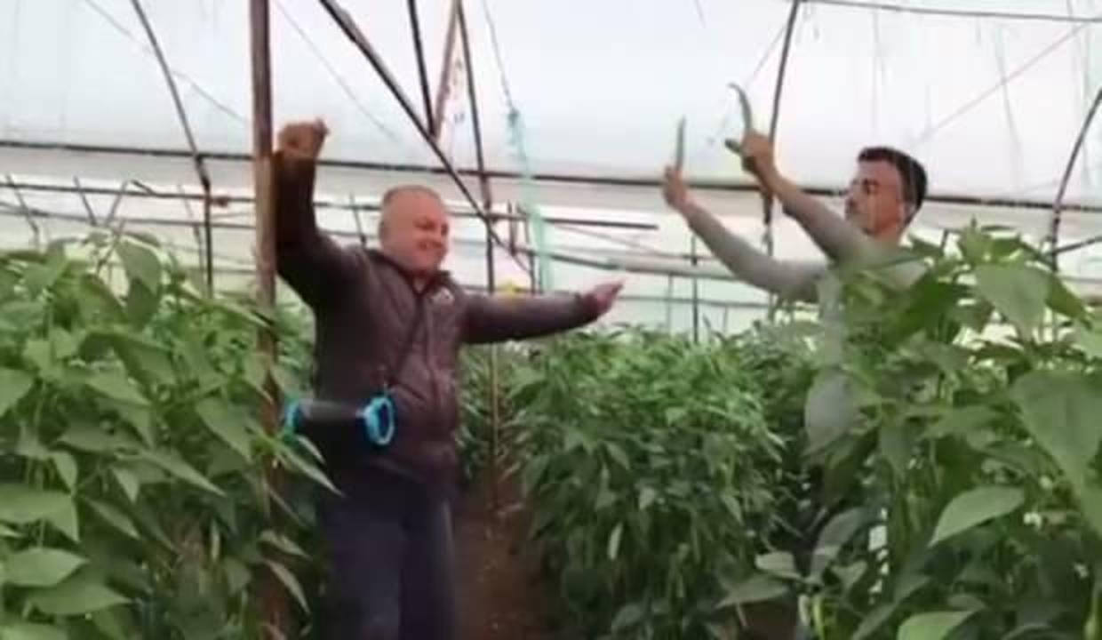 Fiyatını duyan göbek attı!
