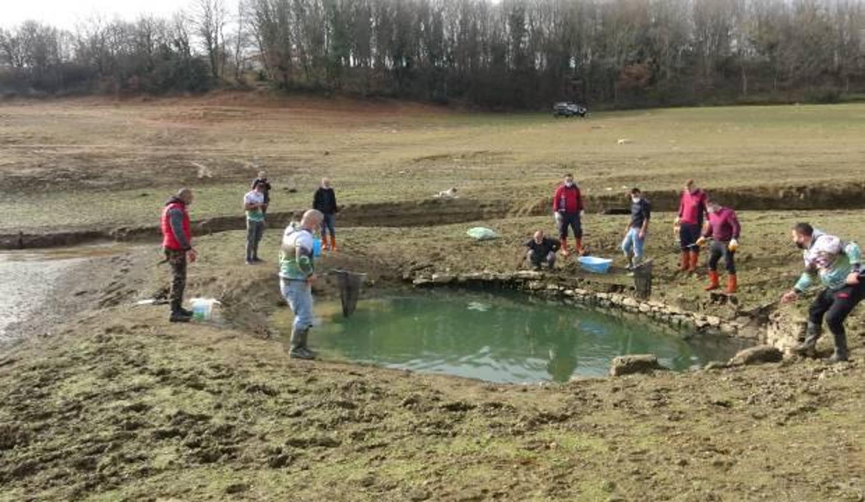 Kuraklık nedeniyle suları iyice çekilen Ömerli Barajı'nda yaşayan yavru balıklar kurtarıldı.