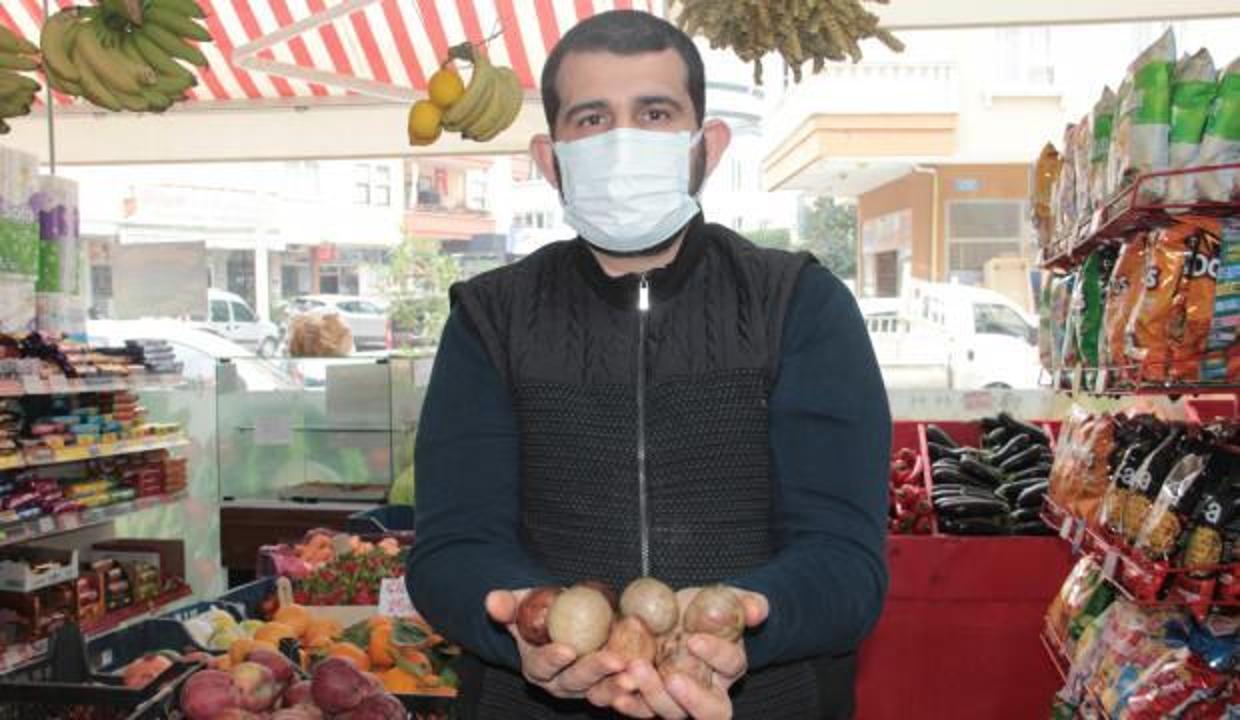 Vatandaşın yüzünü güldüren kampanya! 'Avokado çekirdeğini getir, istediğini götür'
