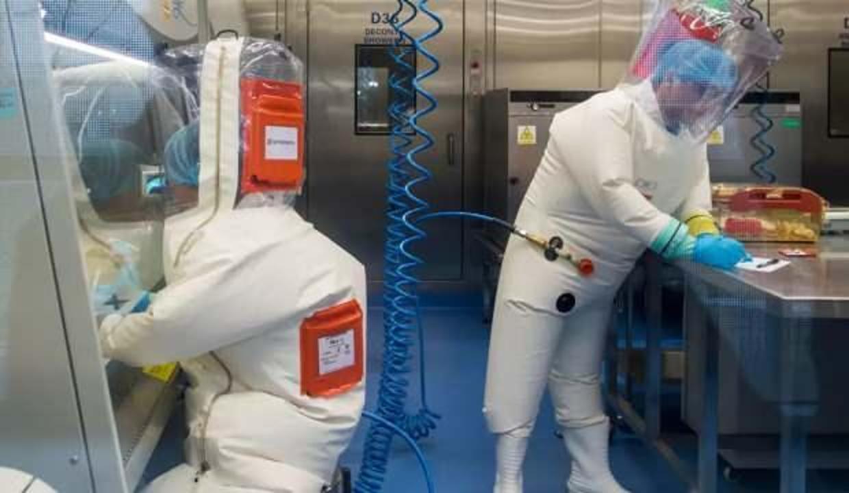 Kovid-19'un kökenini araştıracak DSÖ heyeti, Çin'in Vuhan kentine ulaştı