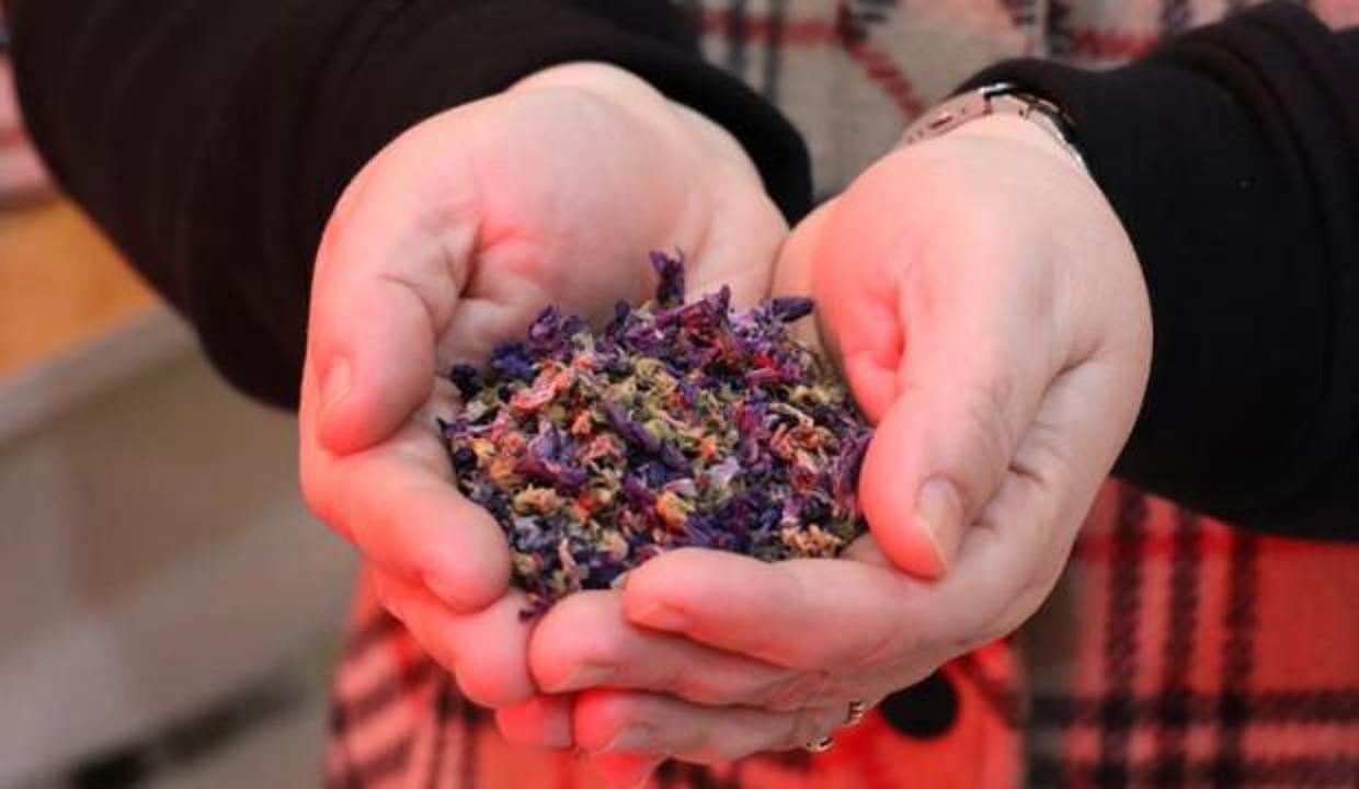 Kilosu 700 lira, kapış kapış satılıyor