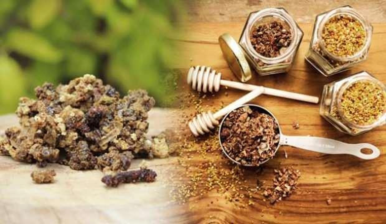 Propolis hastalıklara kalkan oluyor!